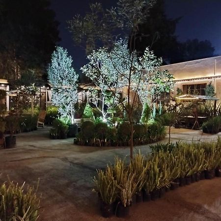 Utopia Hotel Boutique مدينة مكسيكو المظهر الخارجي الصورة