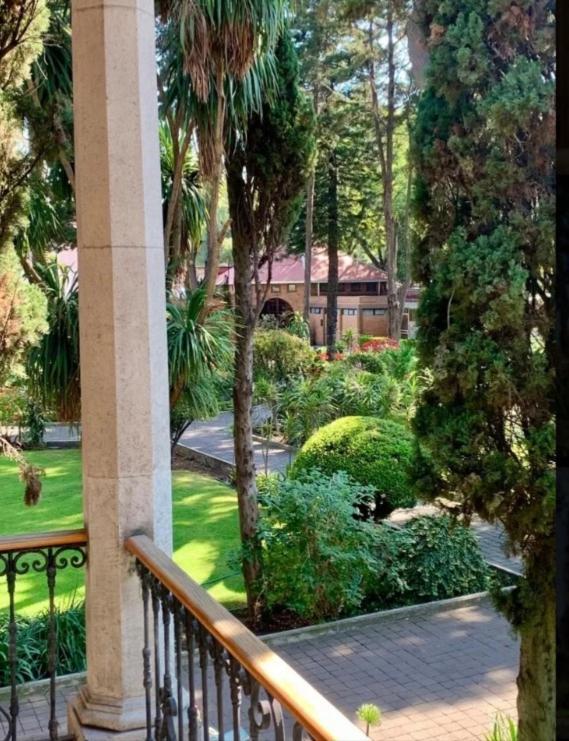 Utopia Hotel Boutique مدينة مكسيكو المظهر الخارجي الصورة