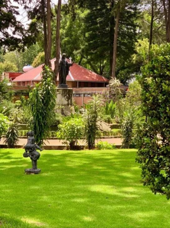 Utopia Hotel Boutique مدينة مكسيكو المظهر الخارجي الصورة