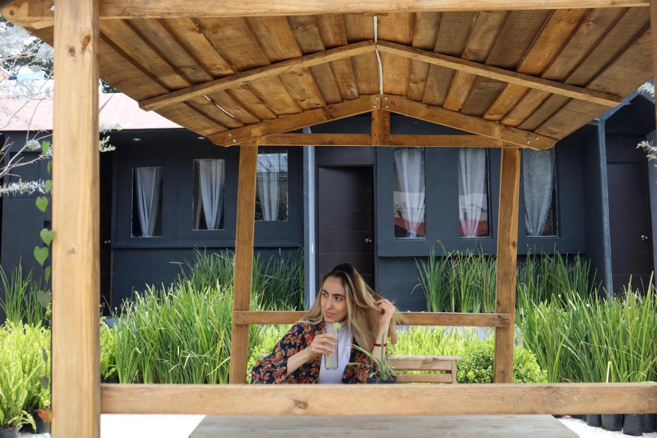 Utopia Hotel Boutique مدينة مكسيكو المظهر الخارجي الصورة