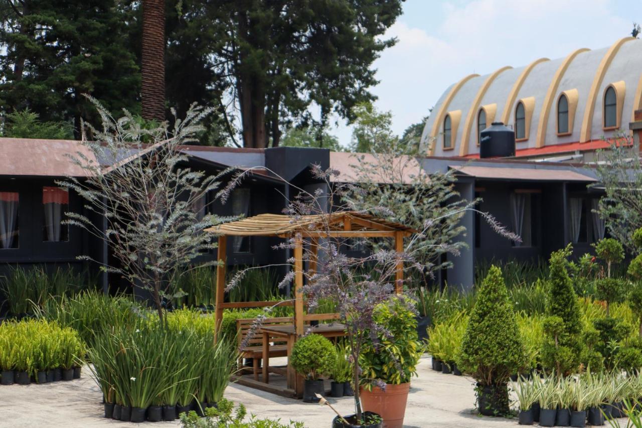 Utopia Hotel Boutique مدينة مكسيكو المظهر الخارجي الصورة