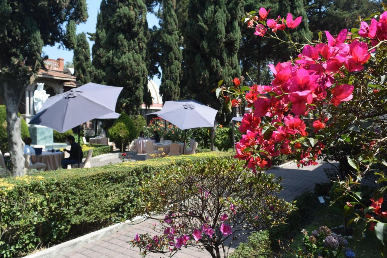 Utopia Hotel Boutique مدينة مكسيكو المظهر الخارجي الصورة