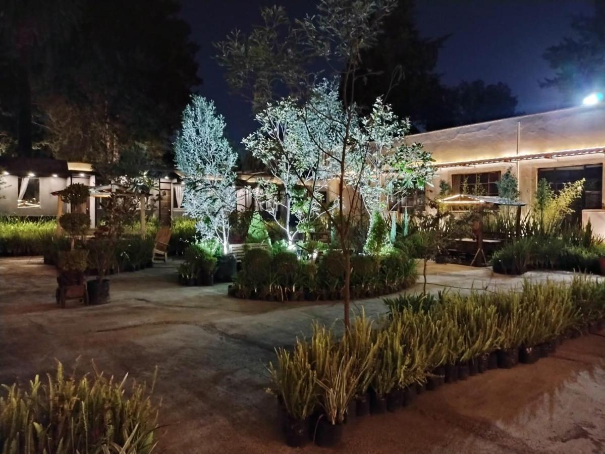 Utopia Hotel Boutique مدينة مكسيكو المظهر الخارجي الصورة